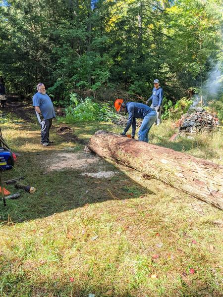 Processing the big dead tree at the Cabin.