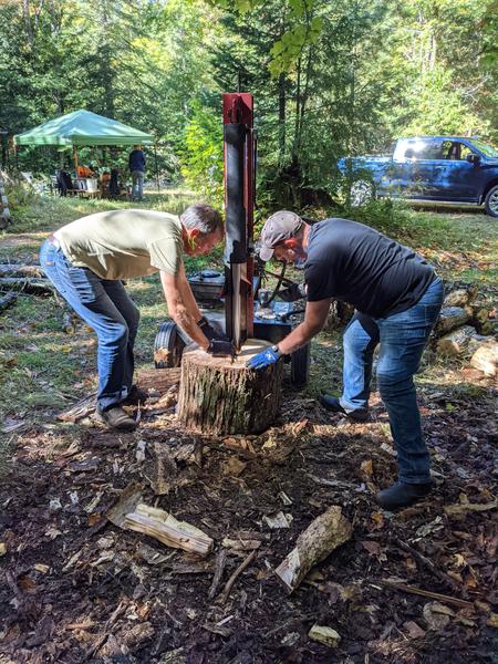 Splitting the wood from the big dead tree.