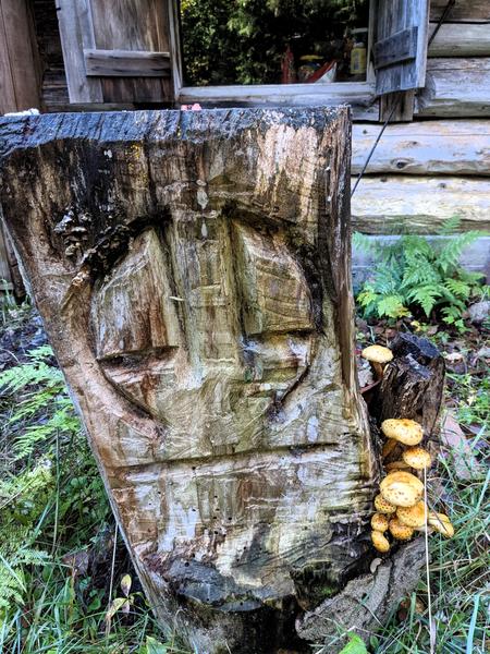 Mushrooms on the carved A&A sign.