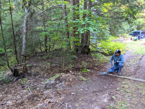 First attempt to pull out dead tree that had the "Do Not Enter" sign.