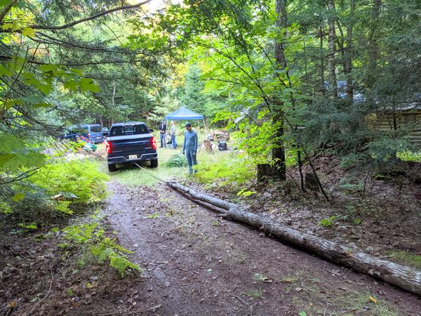 Pulling the tree into camp for processing.