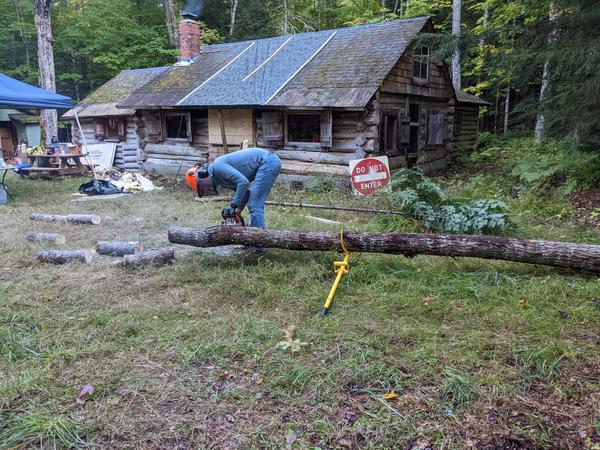 Cutting the tree into burnable logs.