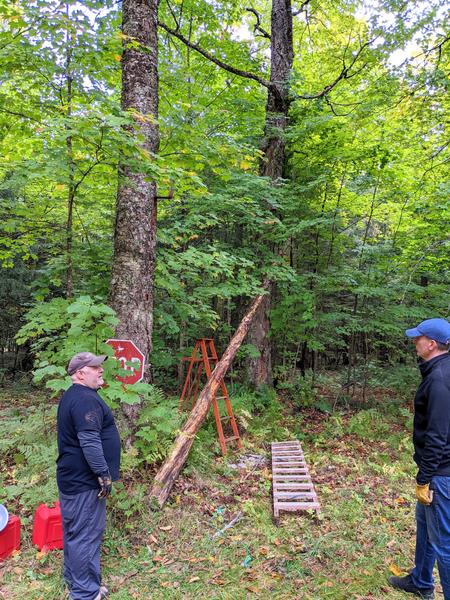 Putting up a new buck pole.