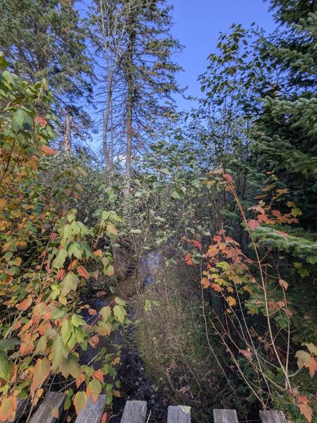 Bridge over Harvey Creek.
