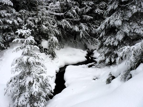 The creek near the Cabin.