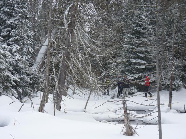 Snowshoeing near a branch of the Sucker river.