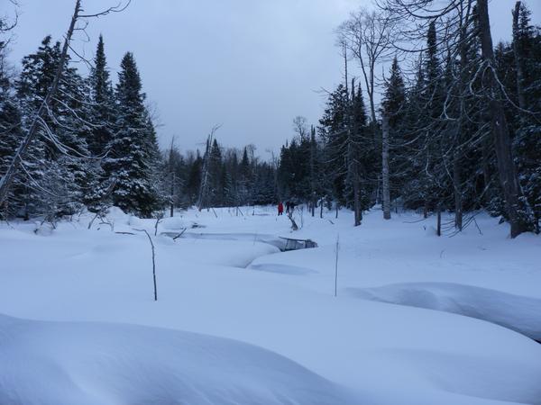 Snowshoeing near a branch of the Sucker river.