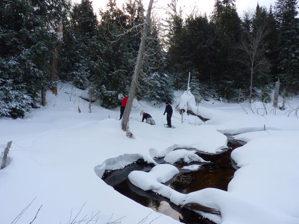 Snowshoeing near a branch of the Sucker river.