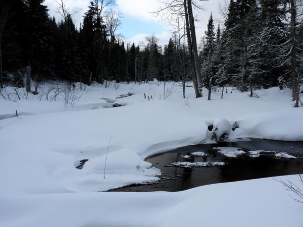 Near the old beaver dam on "the loop".