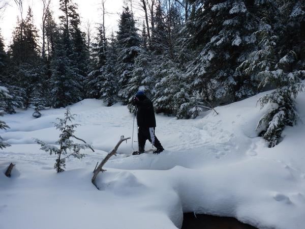 Jon crossing a branch of the Sucker river on a fallen log.