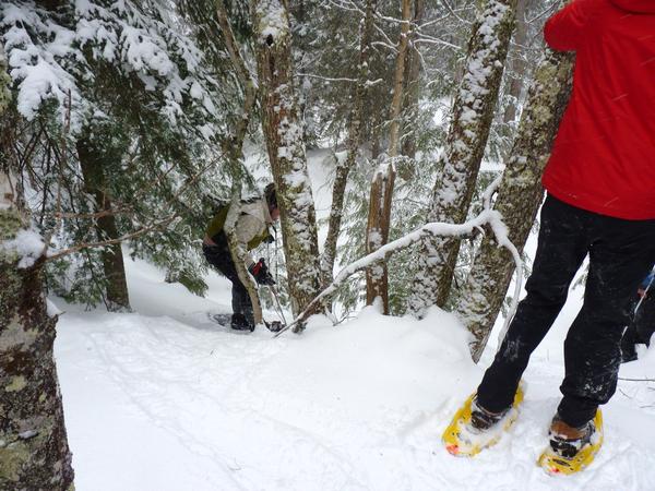 Bill climbing a hill while snowshoeing.