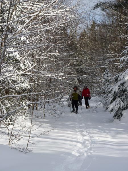 Snowshoeing back from the Sucker river.