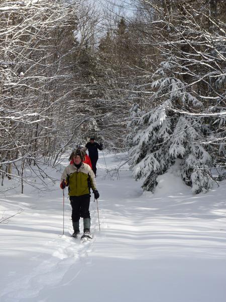 Snowshoeing back from the Sucker river.