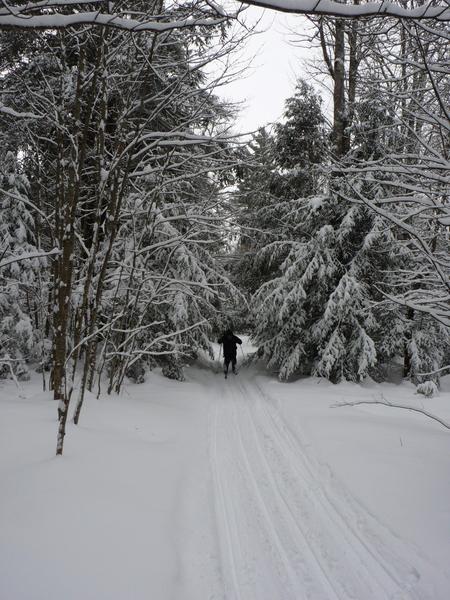 Jon skiing along the path out of the Cabin.