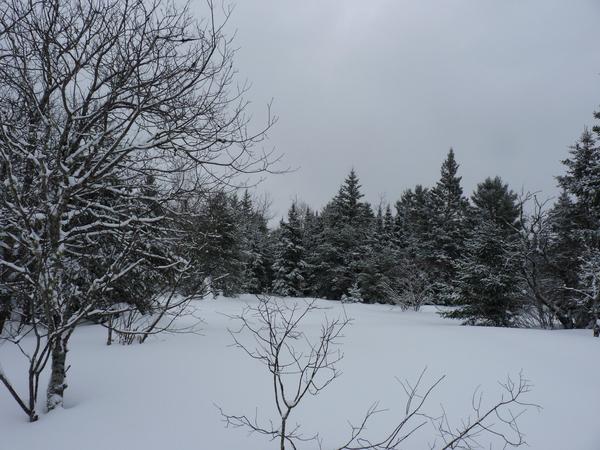 Scenery on the way to the Barfield Lakes.