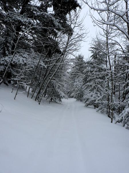 Path on the way to the Barfield Lakes.