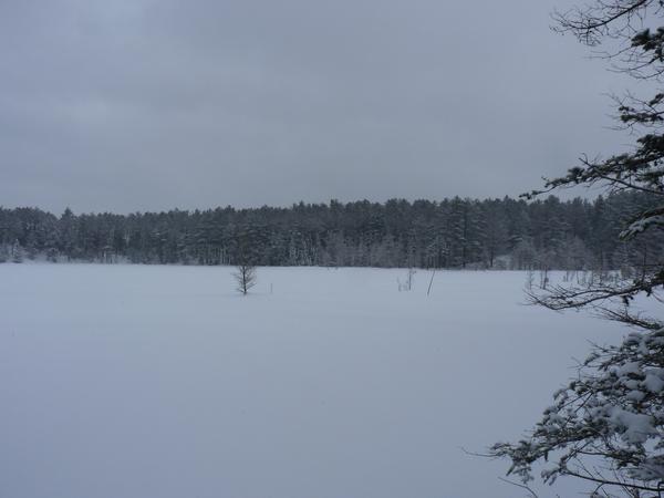 One of the Barfield lakes.