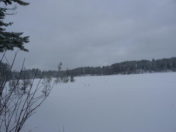 The rest of one of the Barfield lakes.