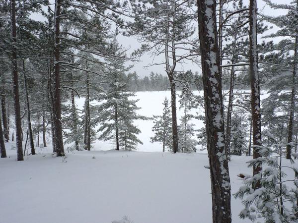 View of one of the Barfield lakes from the ridge.