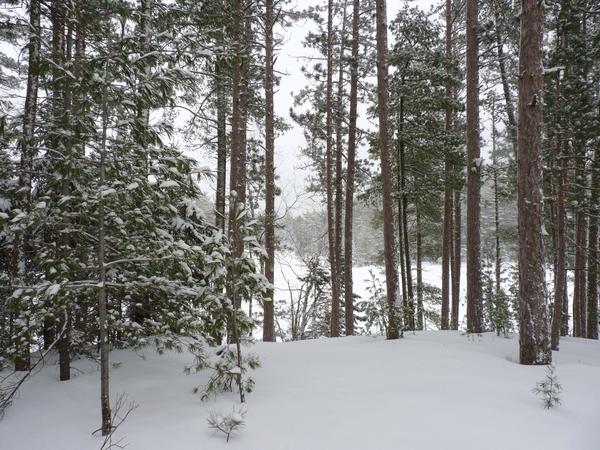 View of another of the Barfield lakes from the ridge.