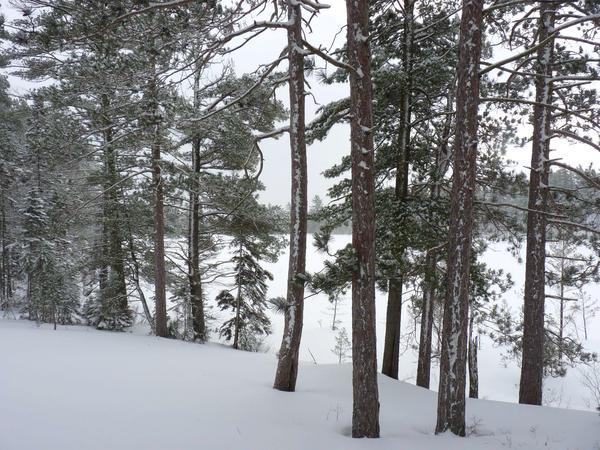 View of one of the Barfield lakes from the ridge.