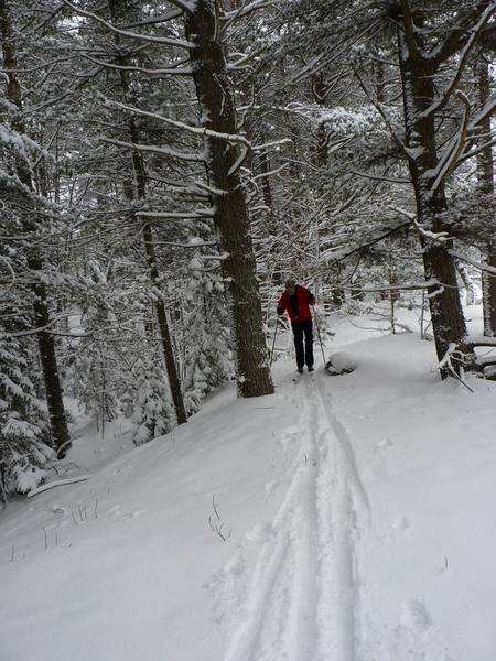 Ed skiing around one of the Barfield lakes (after nearly swimming).