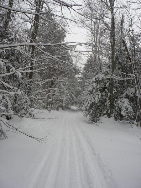 Skiing back from the Barfield lakes.