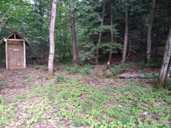 The old, dead tree on the way to the outhouse has finally fallen.