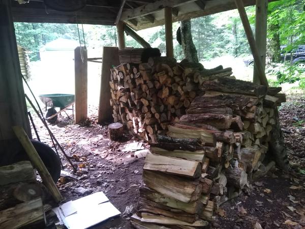 State of the woodshed after cleaning it out.