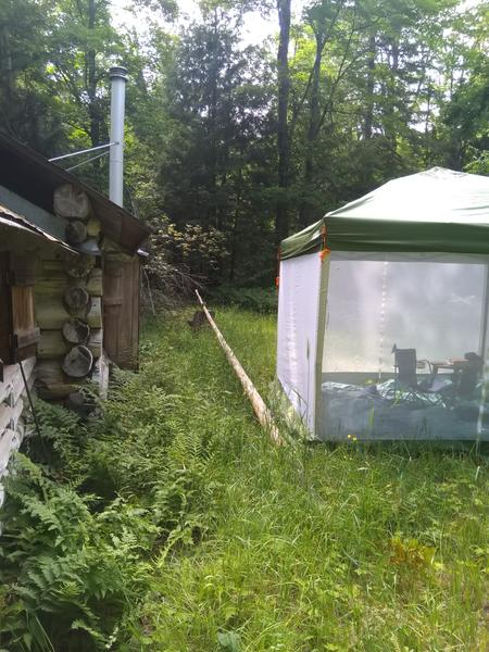 Canopy set up outside the Cabin.