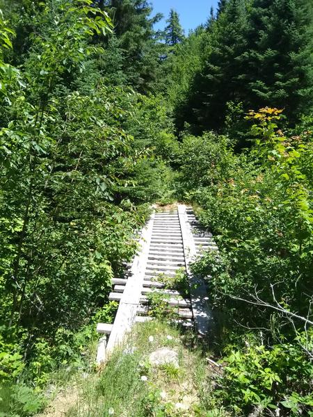 Bridge over Harvey creek along the "big loop".