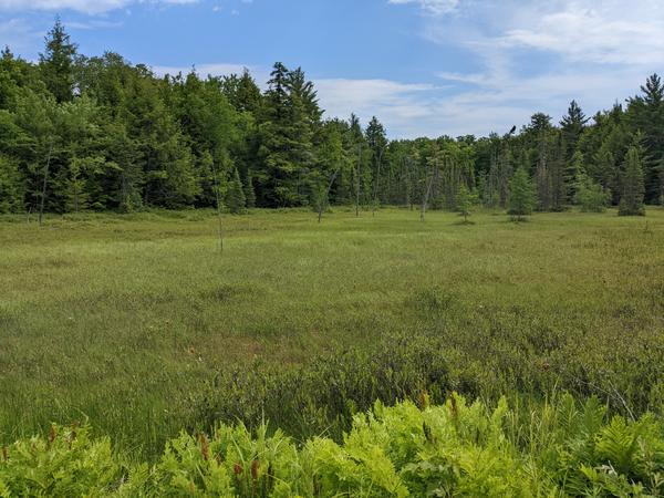 Meadow off of UP443.