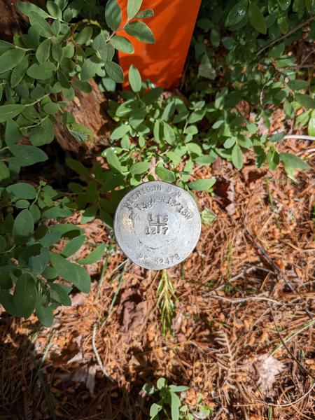 Close up of survey marker at the end of McCloud Grade.