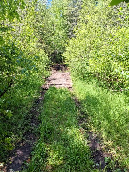 Bridge in the woods near a ruined cabin.