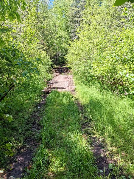 Bridge in the woods near a ruined cabin.