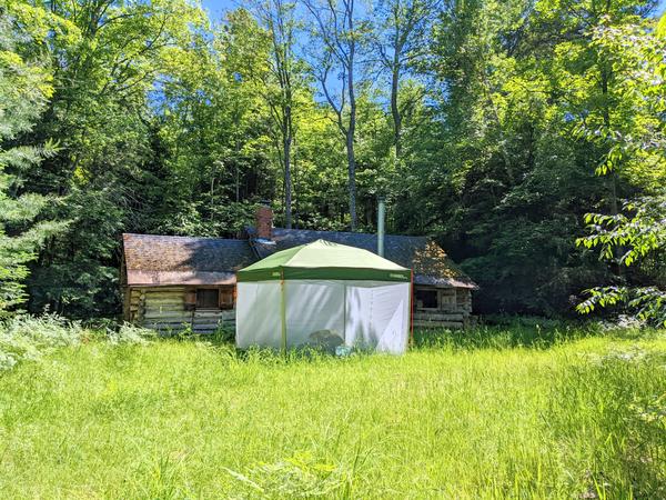 Canopy setup in front of the Cabin.