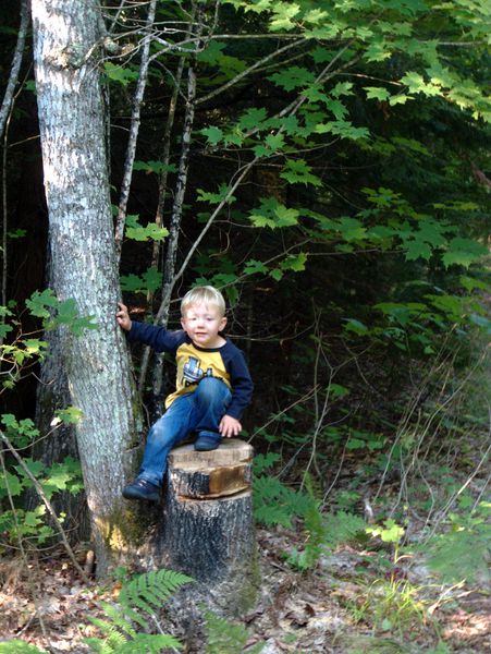 Frankie on a stump.