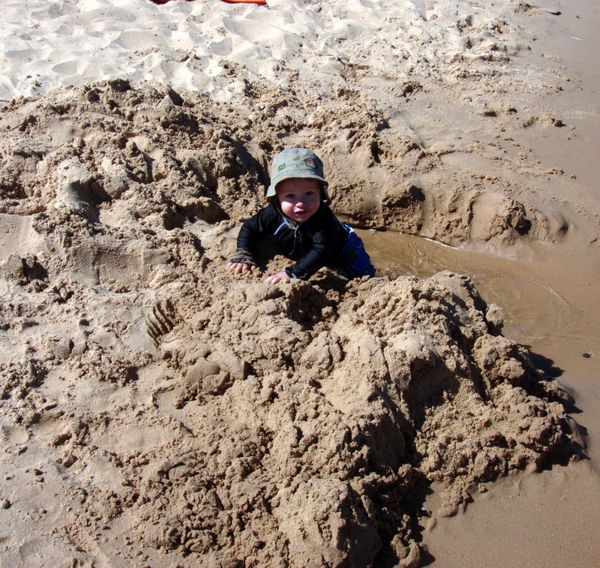 Teddy playing in the sand at the beach in Grand Marais.