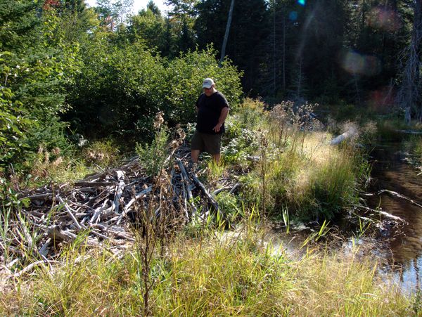 Jon crossing the beaver dam.