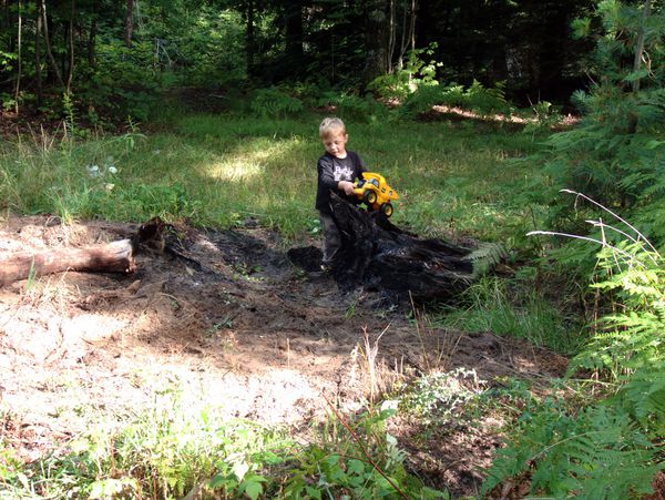 Frankie playing in the "sandbox" by the stump.