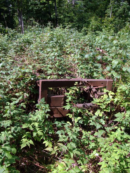 Old, rusting machinery just off the road.