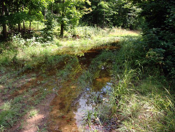 Another, larger puddle along the road.