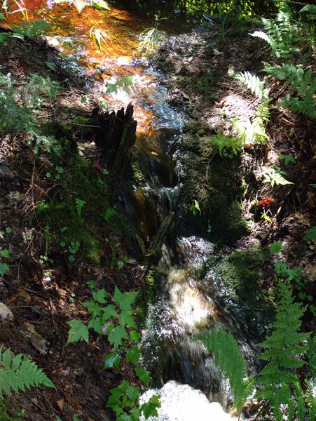 Tiny waterfall in the creek next to the Cabin.