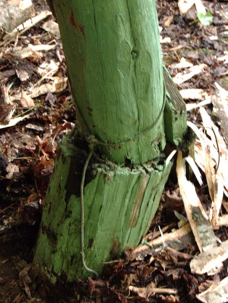 One of the decaying supports of the wood shed.