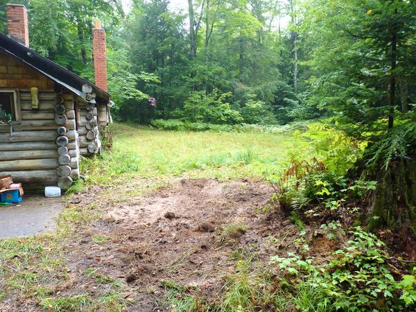 Last spot of the old stump that I dug out by hand.