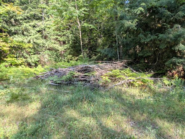 Brush pile on arrival.
