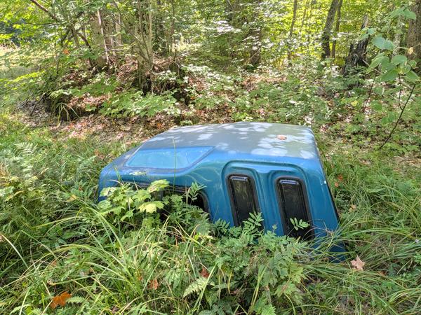 Old pickup truck cap abandoned in the woods.
