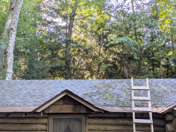 One side of the bunk house roof with moss brushed off of half of it.
