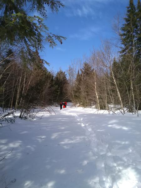 The group snowshoeing along the loop.