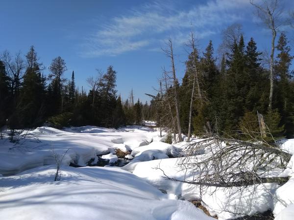 Scenery near the Cabin.